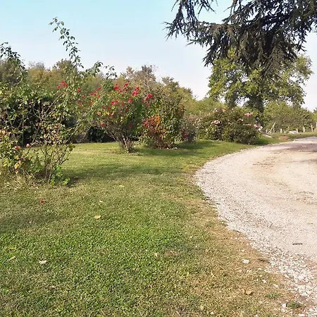 לינה וארוחת בוקר Il Cardellino 3*