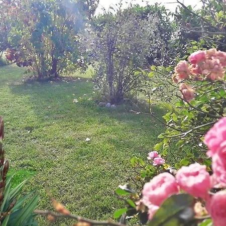 Il Cardellino 3*