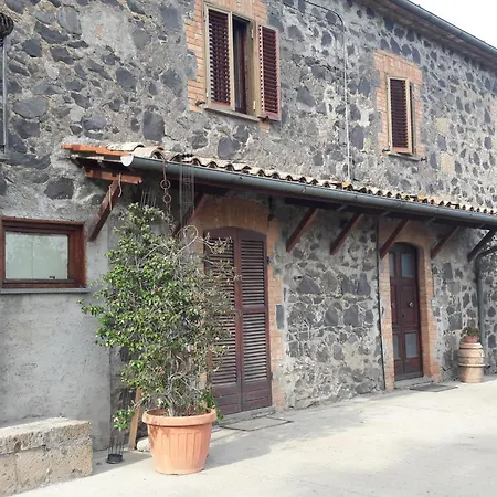 Il Cardellino