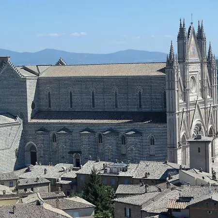 Il Cardellino 3*