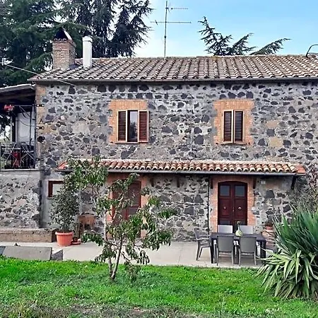Il Cardellino
