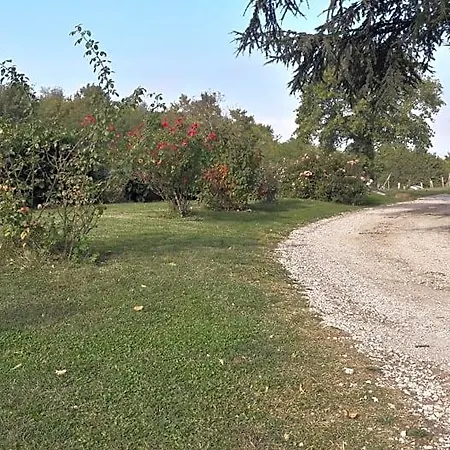 לינה וארוחת בוקר Il Cardellino