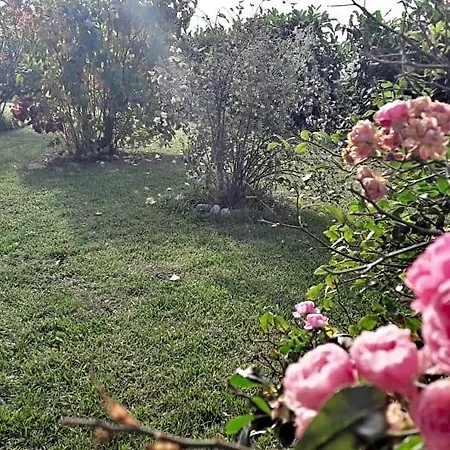 Il Cardellino 3* Porano