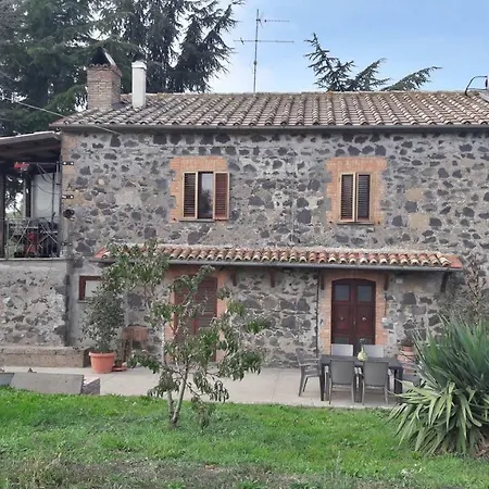 Il Cardellino