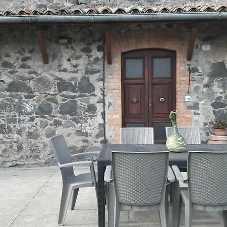 Il Cardellino