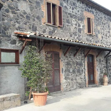 Il Cardellino *